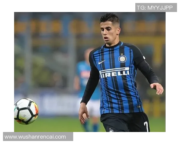 坎塞洛在赛季中的表现分析与未来发展潜力探讨