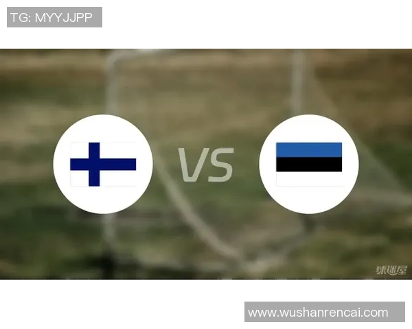 2017年芬兰与爱沙尼亚足球对决精彩回顾与分析