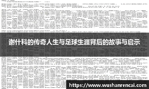 谢什科的传奇人生与足球生涯背后的故事与启示